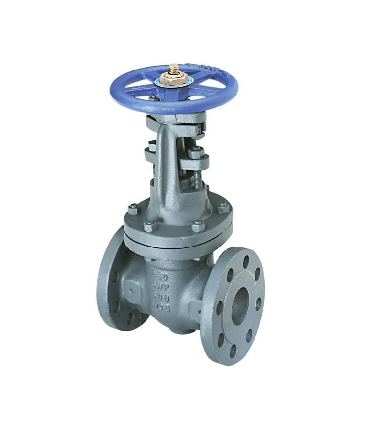 Gate Valve Manufacturer in India